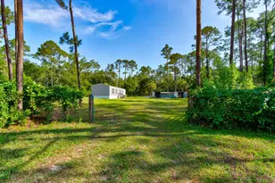 5074 Butternut Ave, Bunnell, FL 32110 - Photo 3