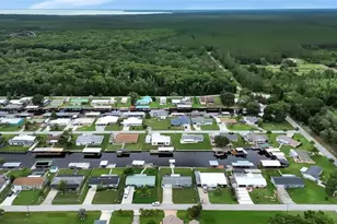 1610 Juno Trail, Astor, FL 32102 - Photo 51