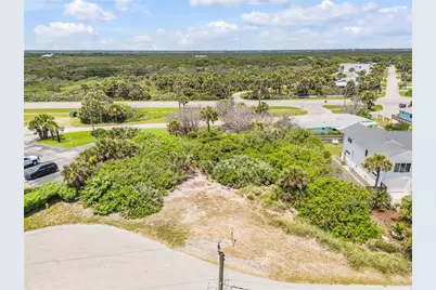 4732 Van Kleeck Drive, New Smyrna Beach, FL 32169 - Photo 9