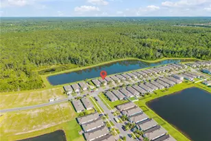 206 Caryota Ct, New Smyrna Beach, FL 32168 - Photo 31