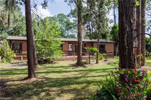 557 Newton Rd, Port Orange, FL 32127 - Photo 3