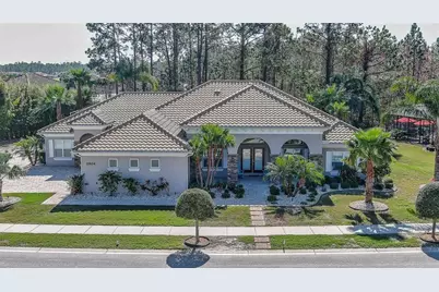 2904 Palma Lane, New Smyrna Beach, FL 32168 - Photo 1