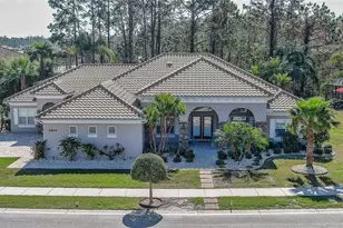 2904 Palma Ln, New Smyrna Beach, FL 32168 - Photo 1