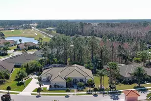 2904 Palma Ln, New Smyrna Beach, FL 32168 - Photo 39