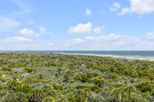 257 Minorca Beach Way, New Smyrna Beach, FL 32169 - Photo 35