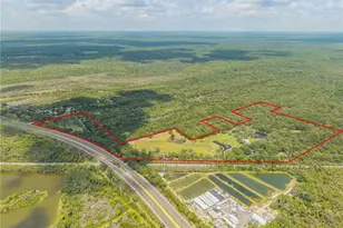800 Hidden Oaks Ln, Oak Hill, FL 32759 - Photo 3