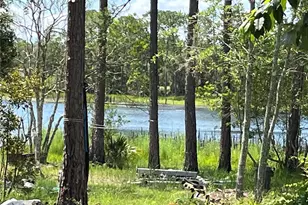 42334 W Lake Rd, Deland, FL 32720 - Photo 1