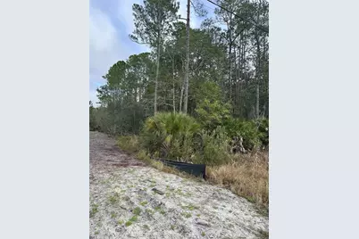 2301 10th Avenue, Deland, FL 32724 - Photo 3