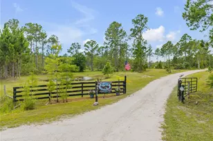 300 Omega Ranch Rd, New Smyrna Beach, FL 32168 - Photo 3