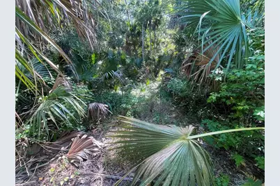 Old Mission Road, New Smyrna Beach, FL 32168 - Photo 15