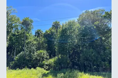 Old Mission Road, New Smyrna Beach, FL 32168 - Photo 11