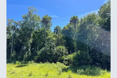 Old Mission Road, New Smyrna Beach, FL 32168 - Photo 9