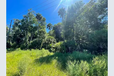 Old Mission Road, New Smyrna Beach, FL 32168 - Photo 7
