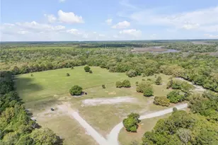 1816 Cattail Cir, New Smyrna Beach, FL 32168 - Photo 83