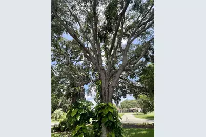 1 Harris Circle, Edgewater, FL 32141 - Photo 45