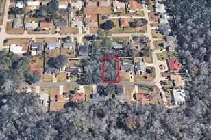 Silver Palm Dr, Edgewater, FL 32141 - Photo 1
