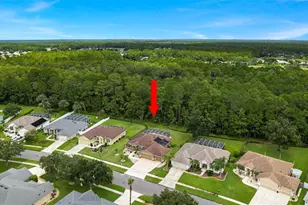 1903 Creekwater Blvd, Port Orange, FL 32128 - Photo 43