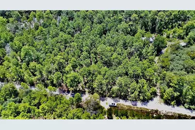 121 Pear Street, Welaka, FL 32193 - Photo 3