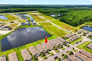 3118 Borassus Dr, New Smyrna Beach, FL 32168 - Photo 31