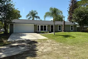 2304 Travelers Palm Dr, Edgewater, FL 32141 - Photo 1
