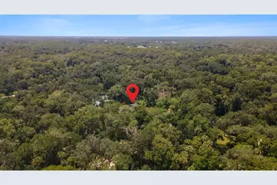 706 S Timberlane Drive, New Smyrna Beach, FL 32168 - Photo 67