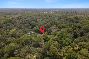 706 S Timberlane Dr, New Smyrna Beach, FL 32168 - Photo 67