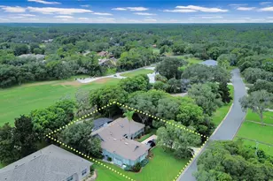 550 Bottlebrush Ct, New Smyrna Beach, FL 32168 - Photo 3