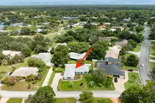 1004 Stagger Bush Pl, New Smyrna Beach, FL 32168 - Photo 37