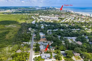 2005 Saxon Dr, New Smyrna Beach, FL 32169 - Photo 41