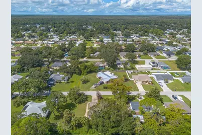2629 Umbrella Tree Drive, Edgewater, FL 32141 - Photo 33