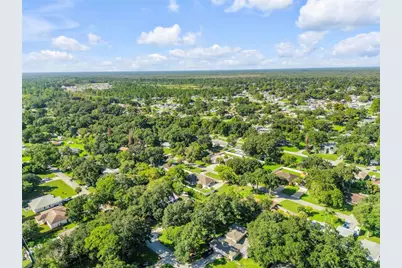 3205 Mango Tree Drive, Edgewater, FL 32141 - Photo 59