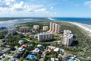 261 Minorca Beach Way, New Smyrna Beach, FL 32169 - Photo 29