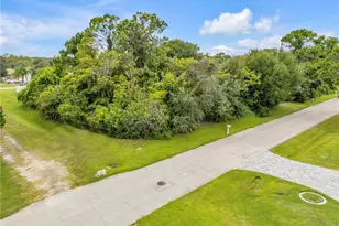 1430 Umbrella Tree Dr, Edgewater, FL 32132 - Photo 33