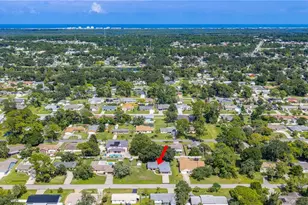 2825 Sabal Palm, Edgewater, FL 32141 - Photo 31