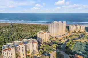 259 Minorca Beach Way, New Smyrna Beach, FL 32169 - Photo 41