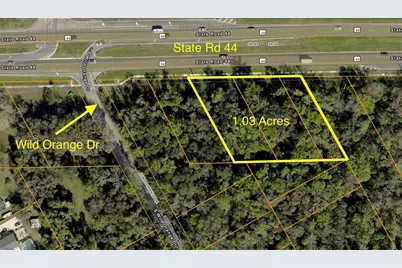 0 State Rd 44, New Smyrna Beach, FL 32168 - Photo 1