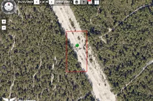 0 N St, New Smyrna Beach, FL 32168 - Photo 1