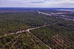 International Dr, Orlando, FL 32821 - Photo 1