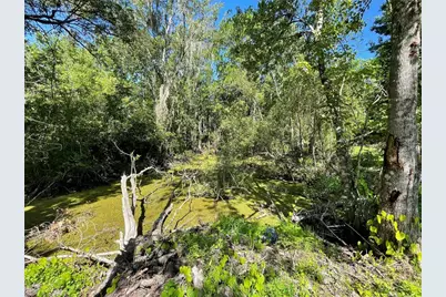 16415 Bearle Road, Orlando, FL 32828 - Photo 13