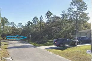 1252 Wahneta Dr, Kissimmee, FL 34759 - Photo 1