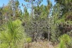 Salyers Rd, Clermont, FL 34714 - Photo 1