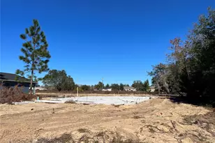 17 Malauka Circle, Ocklawaha, FL 32179 - Photo 1