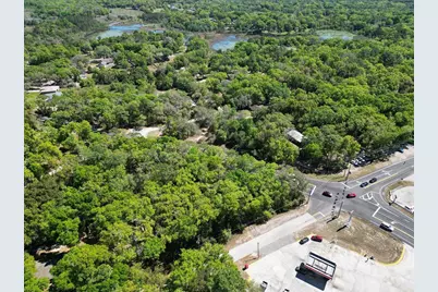 Niles Street, Mount Plymouth, FL 32776 - Photo 9