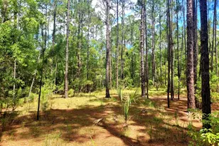 Tbd Tropical Dr, Eustis, FL 32726 - Photo 1