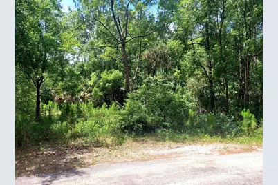 Tbd Tropical Drive, Eustis, FL 32726 - Photo 21