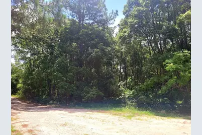 Tbd Tropical Drive, Eustis, FL 32726 - Photo 19