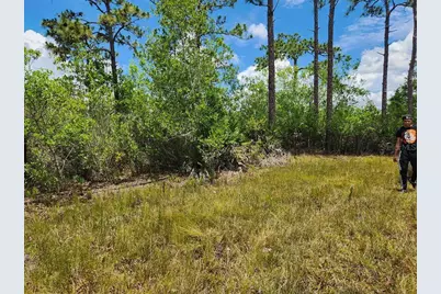 Holopaw Groves Road, Saint Cloud, FL 34771 - Photo 25