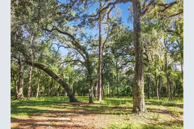 4544 Cr 673, Bushnell, FL 33513 - Photo 7