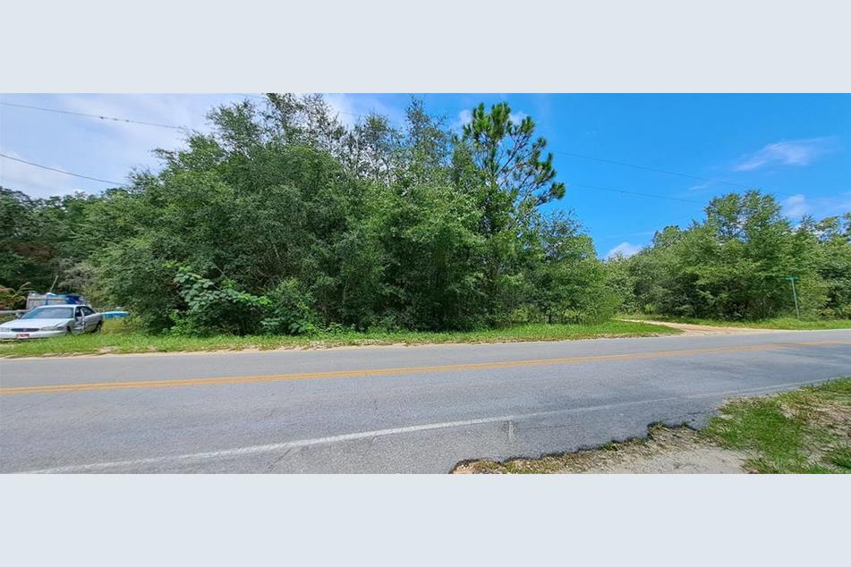 211 Baden Powell Rd, Hawthorne, FL 32640 MLS O6131790 Coldwell Banker