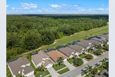 8155 Sun Palm Drive, Kissimmee, FL 34747 - Photo 45